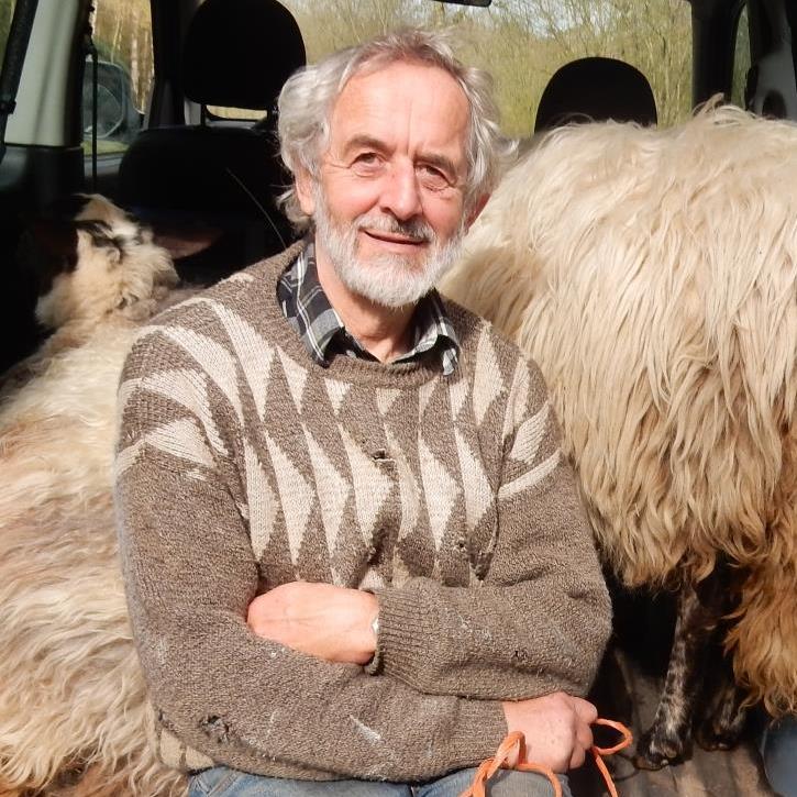 HTF, 2019-03-27, transport schapen naar Landje van Moed-1 - kopie