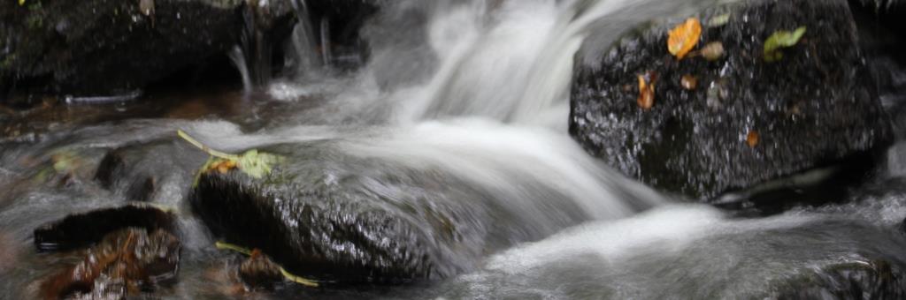 WATER, 2018-10-01, Morvan, Le Chatelet, beek in bos-2 - kopie