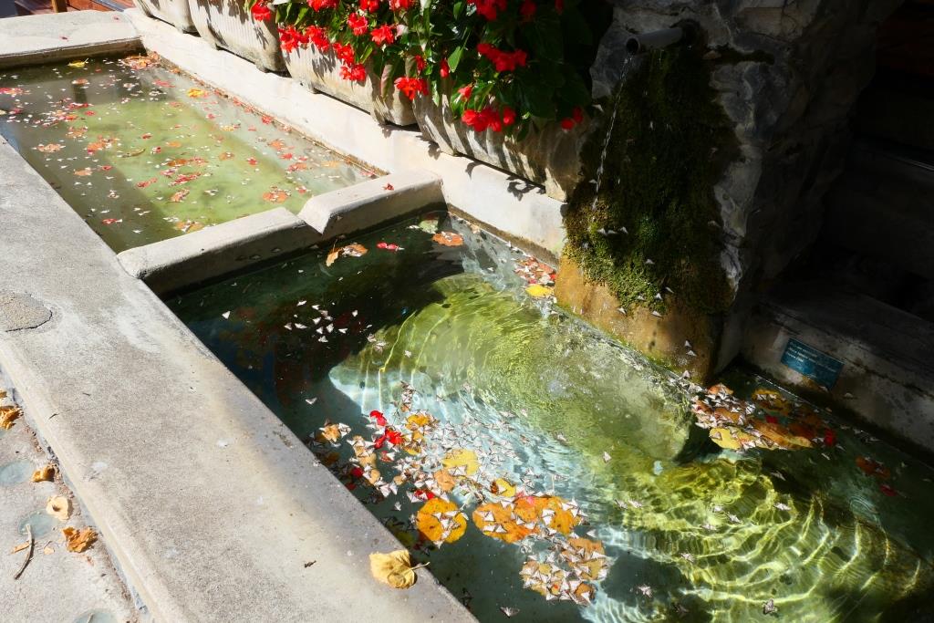 DROME, 2019-09-16-037, Chatillon-en-Diois, fontein met buxusmotten - kopie