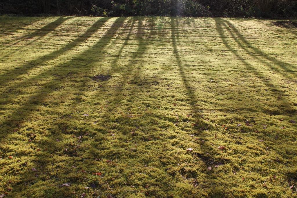 2020-02-04, zuidstrand met strijklicht en schaduwen-2 - kopie