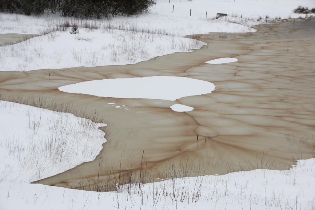 blog 2-8, Azuren zomp