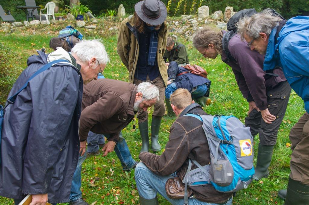 oef pkn eef schepping.CR