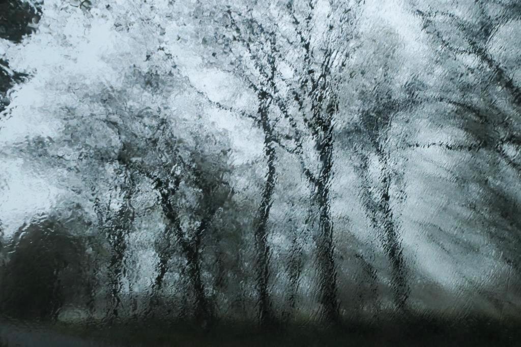 2021-11-13, Gees, Boswachterij, Tilweg, berm met bomen door regenruit auto-1