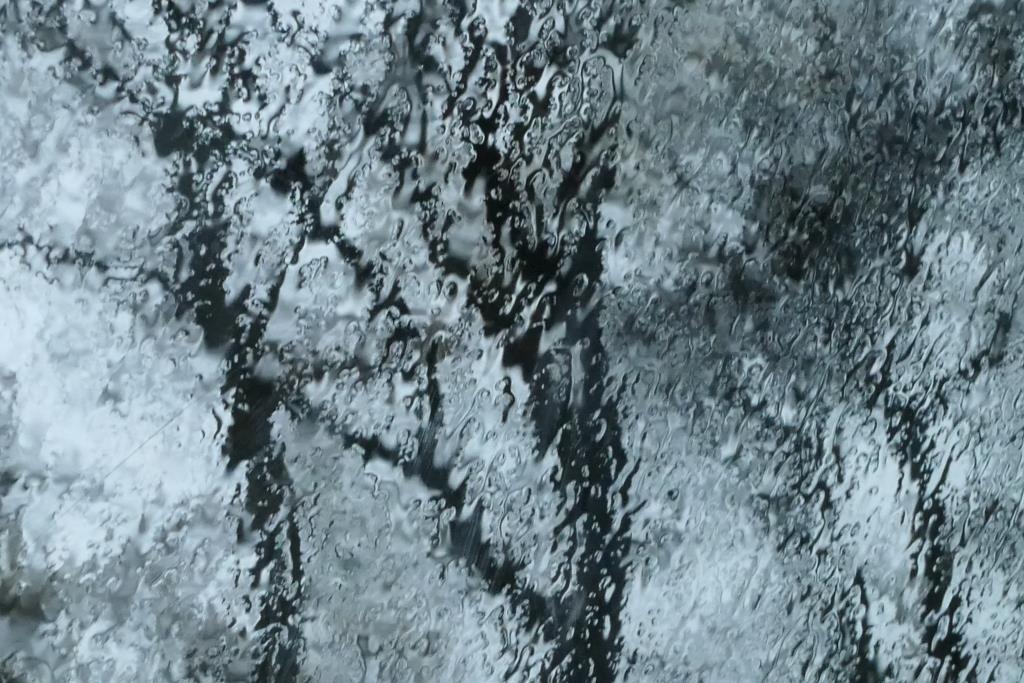 2021-11-13, Gees, Boswachterij, Tilweg, boomtakken door regenruit auto-4