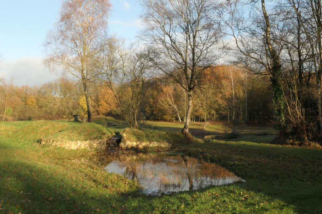 2021-11-22, kalkmoerasje met herfstige berken