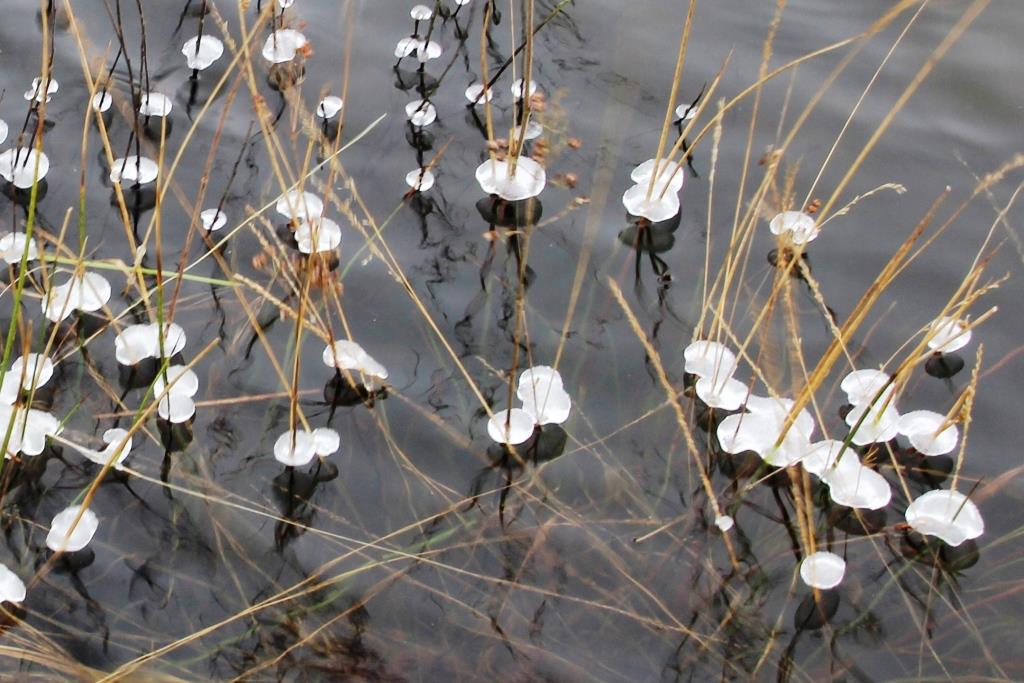 IMG_7464 - kopie - kopie