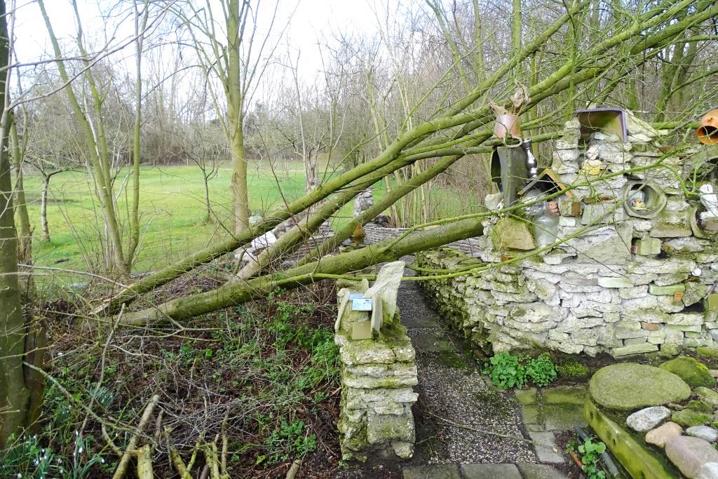 2022-02-19, stormschade-2