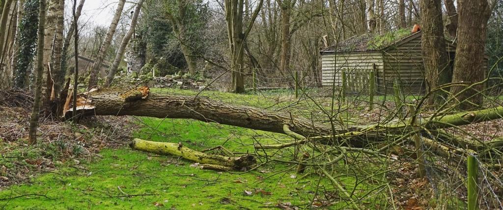 2022-02-21, ravage-2