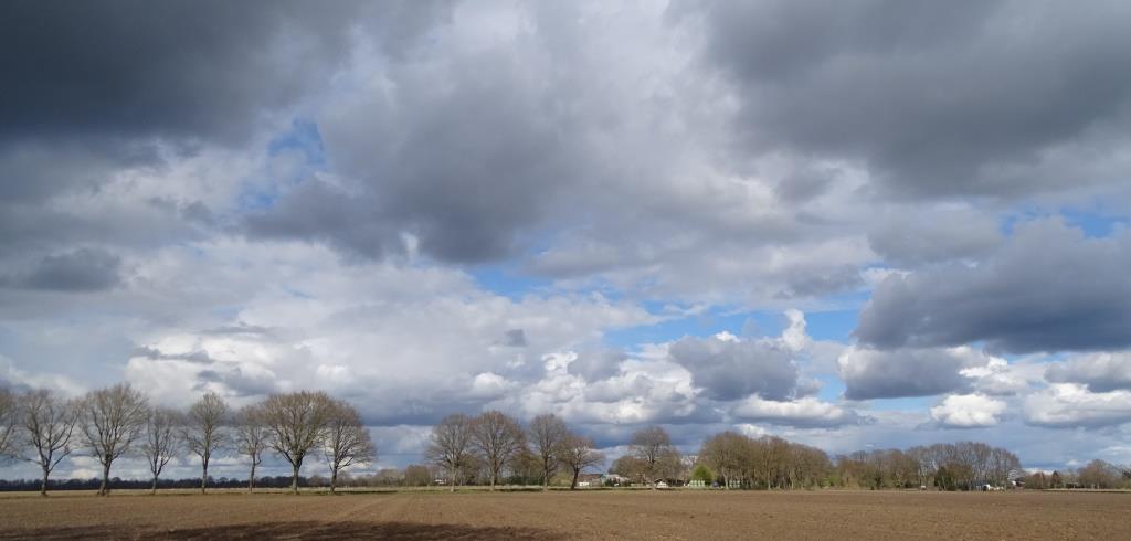 2022-04-03, Benneveld-1